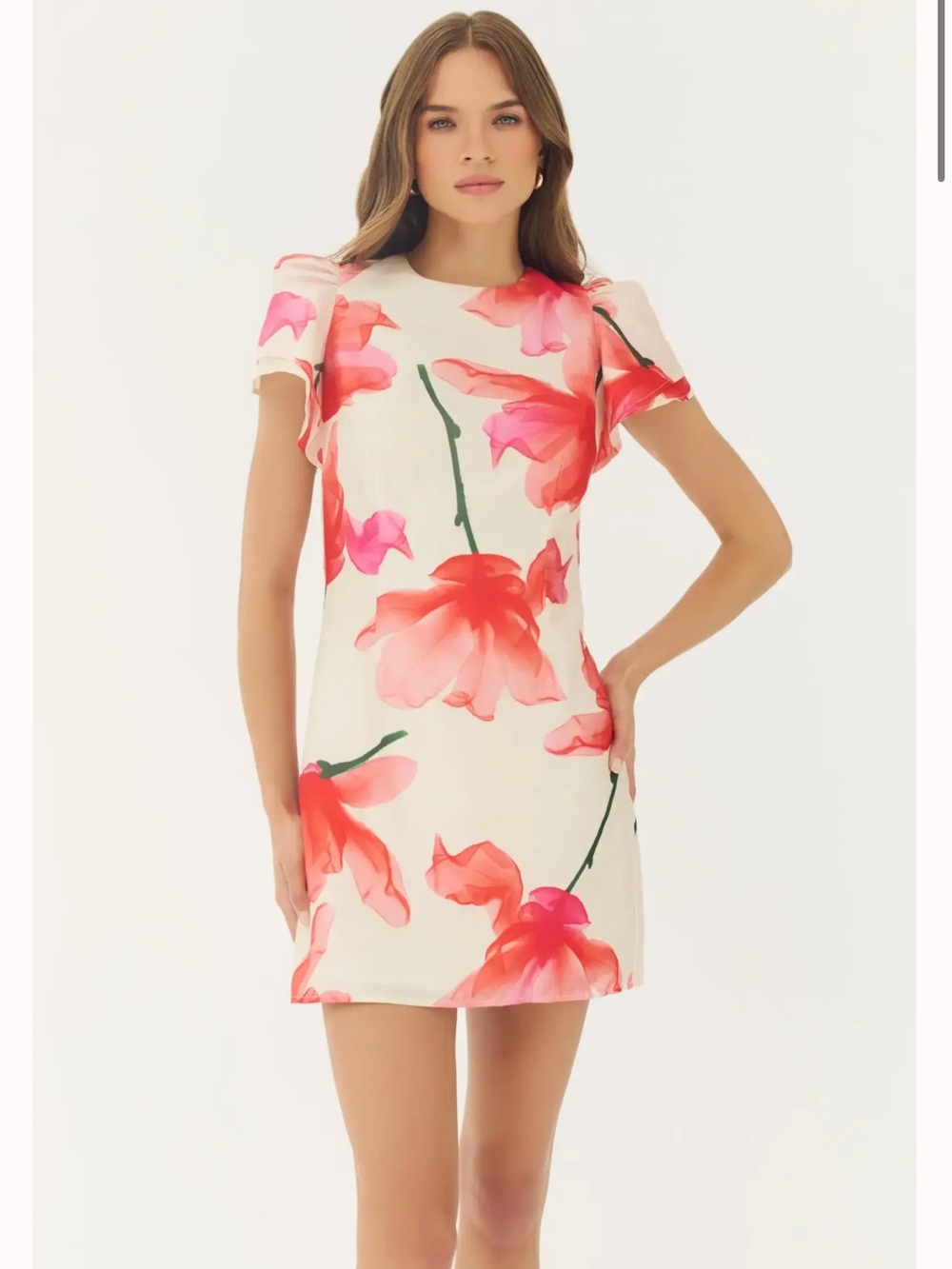 hutch vatti iovry & red floral print ruffle sleeve mini shift dress small NEW